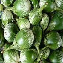 Green Brinjal (Hara Baingan)