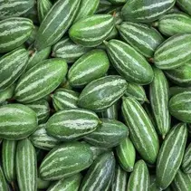 Pointed Gourd (Parval)