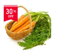Carrot (Gajar)