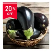 Brinjal(Baingan)