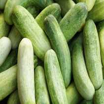 Cucumber