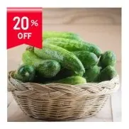 Cucumber