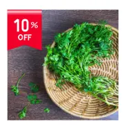 Coriander(Dhaniya)