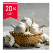 Garlic (Lahsun)