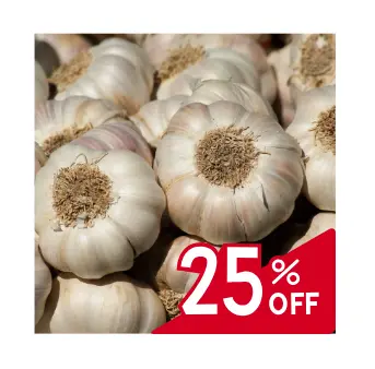 Garlic (Lahsun)