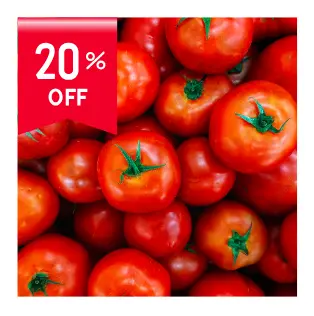 Tomato (Tamatar)